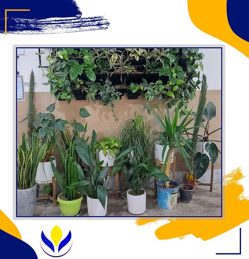  پیش دبستان و دبستان غیردولتی پسرانه ثنا